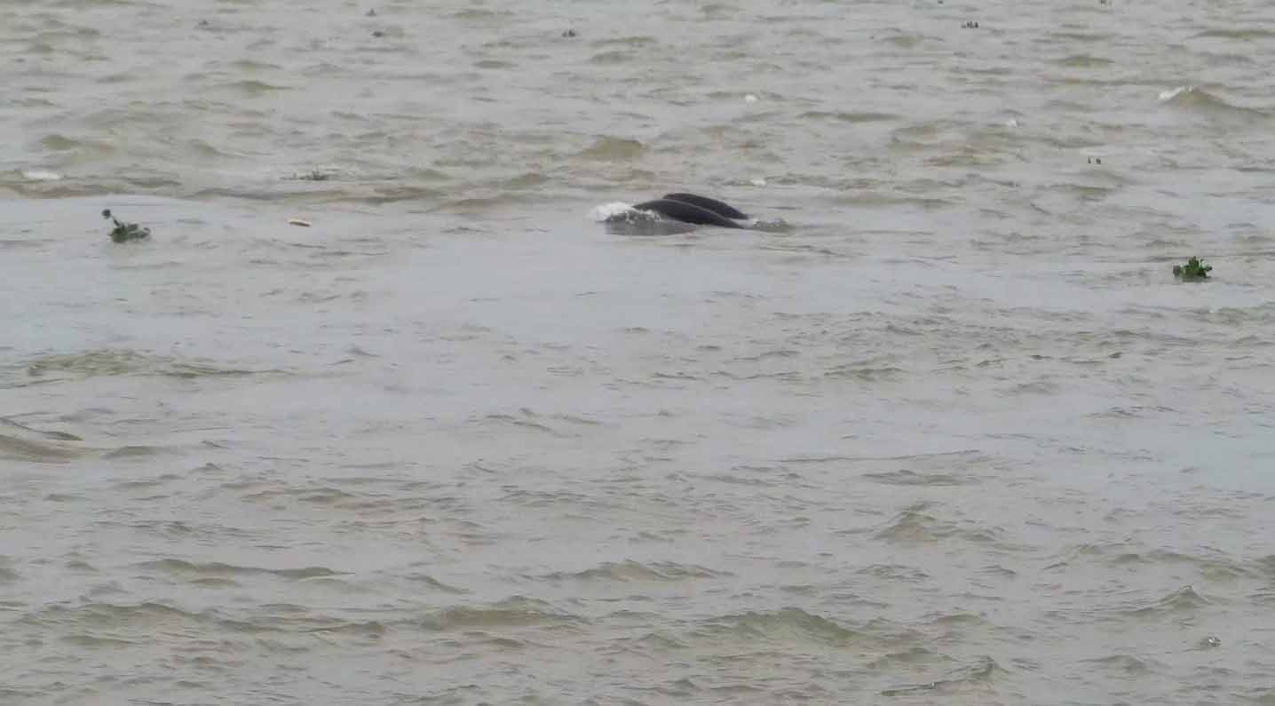 1605850742650683.jpg 未標題-1.jpg