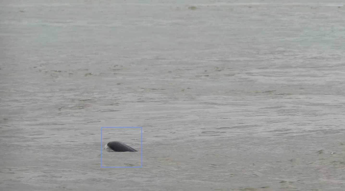 1605850755109249.jpg 11.jpg