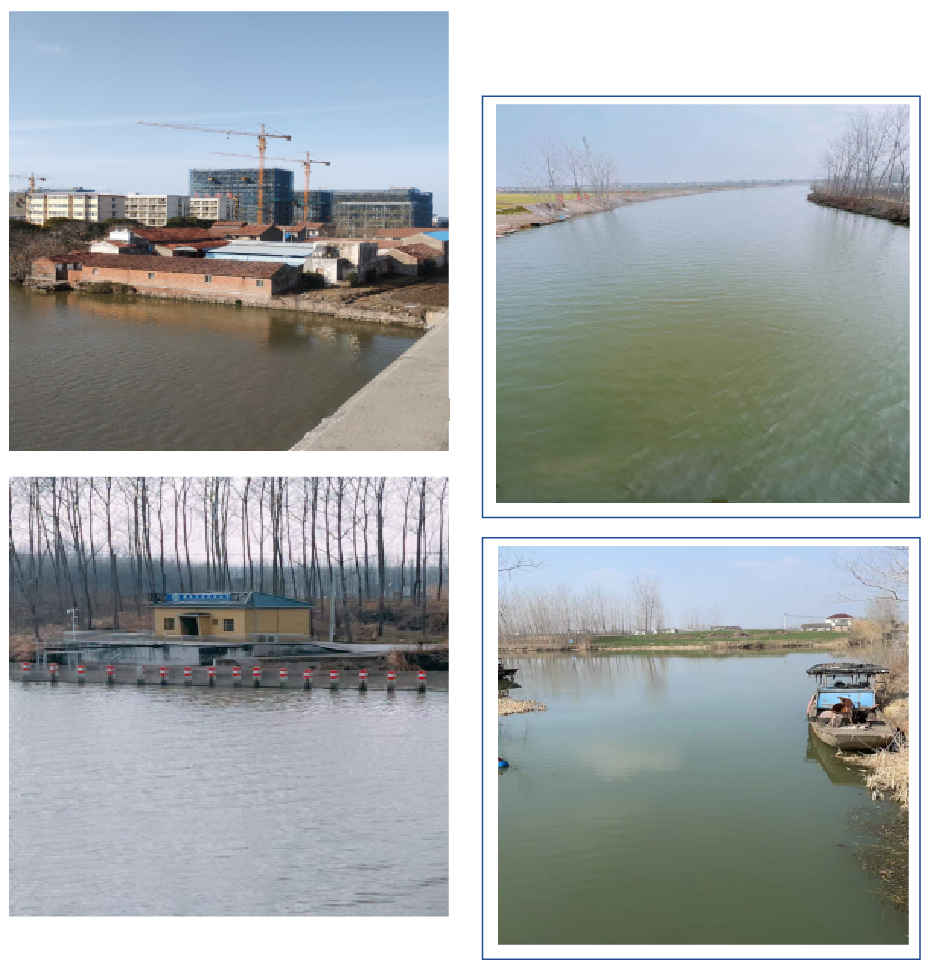 1648006322453267.png 111111-01.png