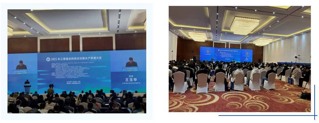 1699584092678481.png 11.png