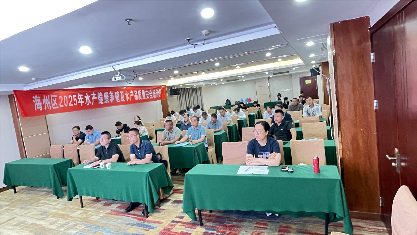 1751003054571572.jpg 1-03.jpg